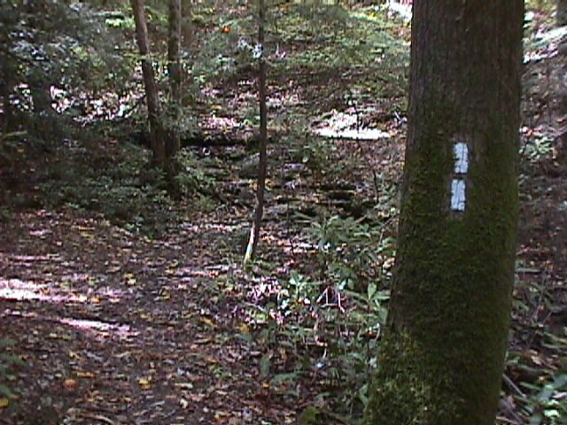 Double white slash indicates pay attention to trail ahead!
