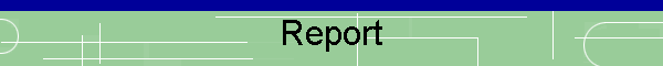 Report