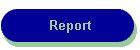 Report