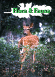flora and fauna